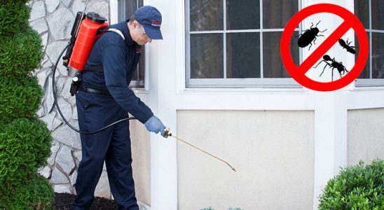 Kaynarca Karınca İlaçlama böcek ilaçlama ve haşere kontrolü — ilaclama-tr.com